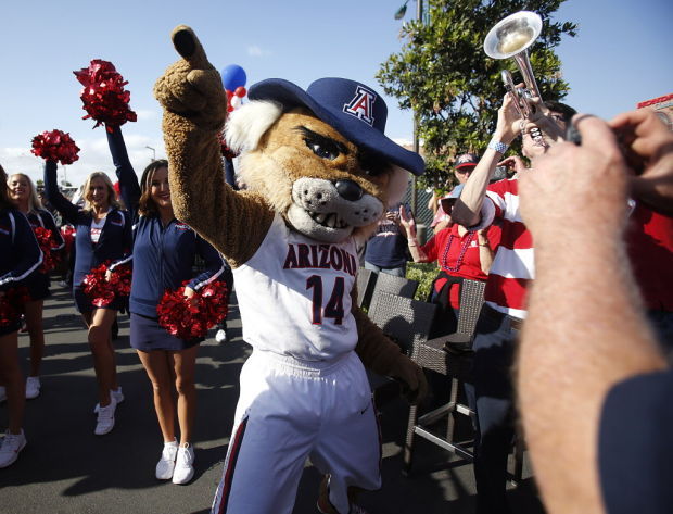 NCAA Tournament: Arizona Wildcats