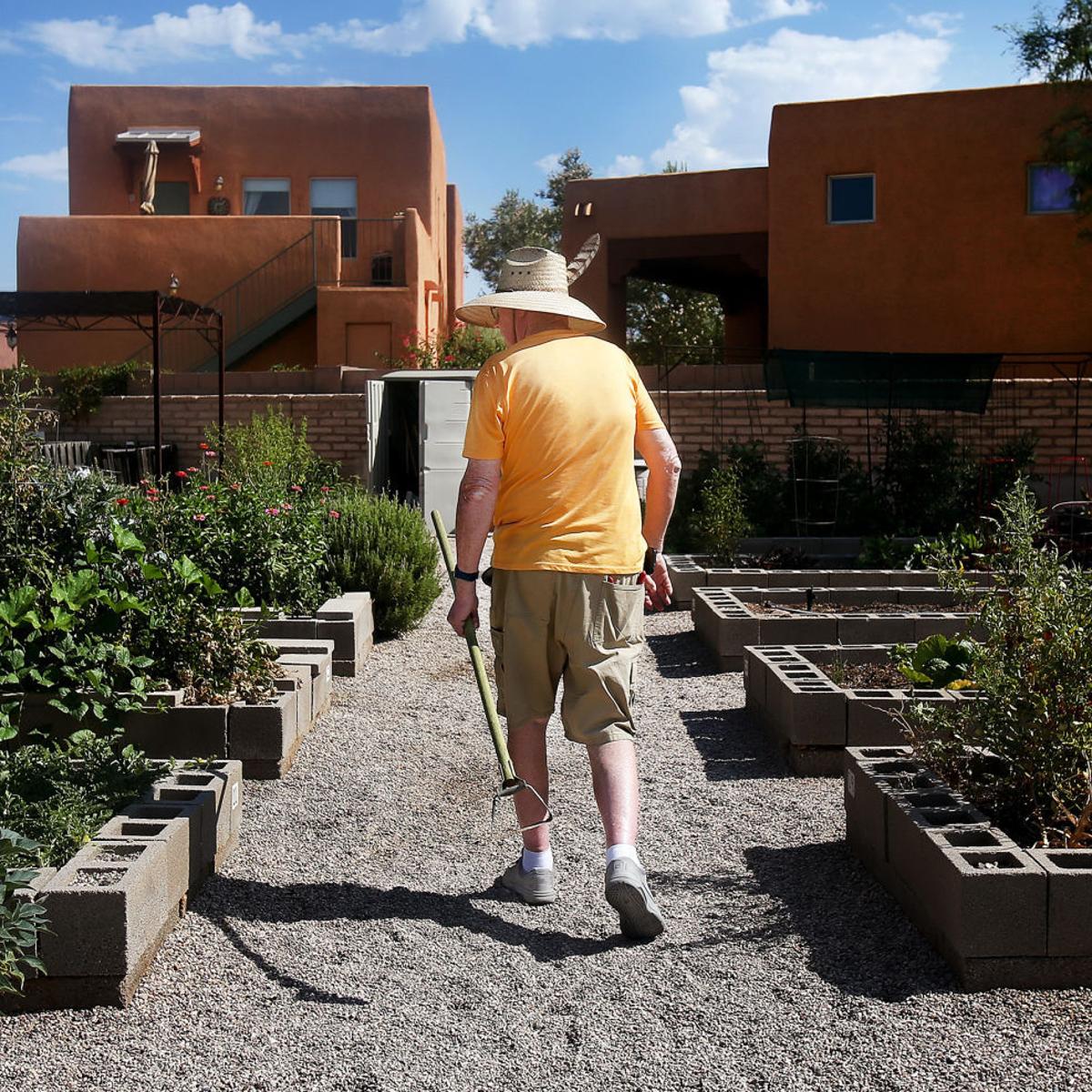 Starting A Community Garden How These Tucson Neighborhoods Did It