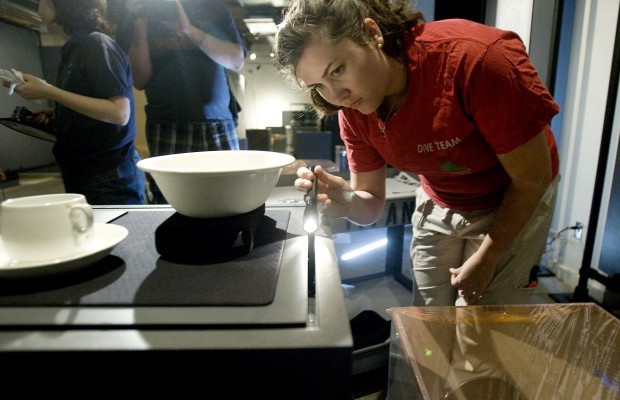 Titanic: The Artifact Exhibition