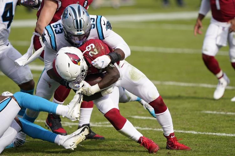 Cardinals Panthers Football
