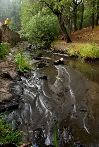Marshall Gulch Trail