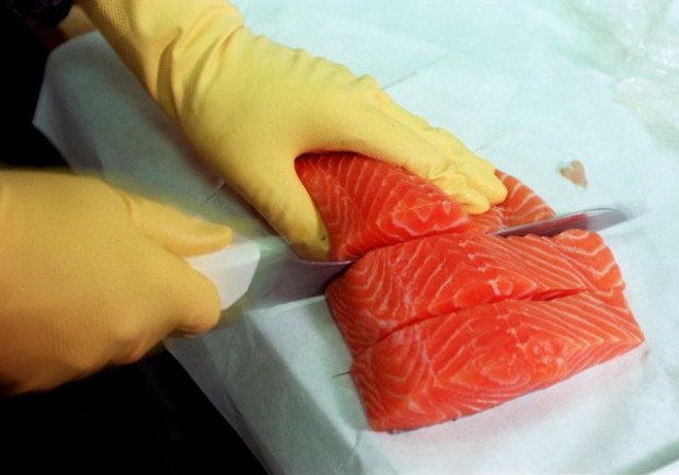 Farm-raised, wild salmon both have benefits, risks  