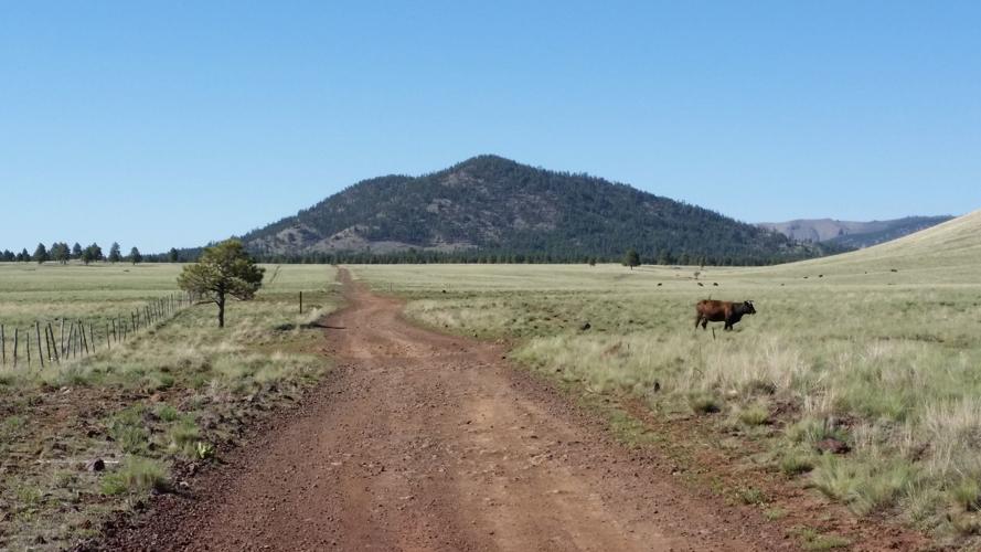 Mine Tales: Government Mountain