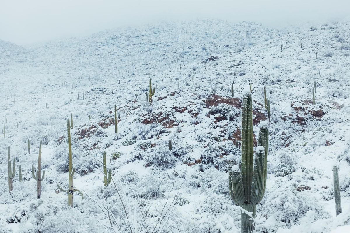 Inches Of Snow Frigid Temperatures Chill Southern Arizona Local