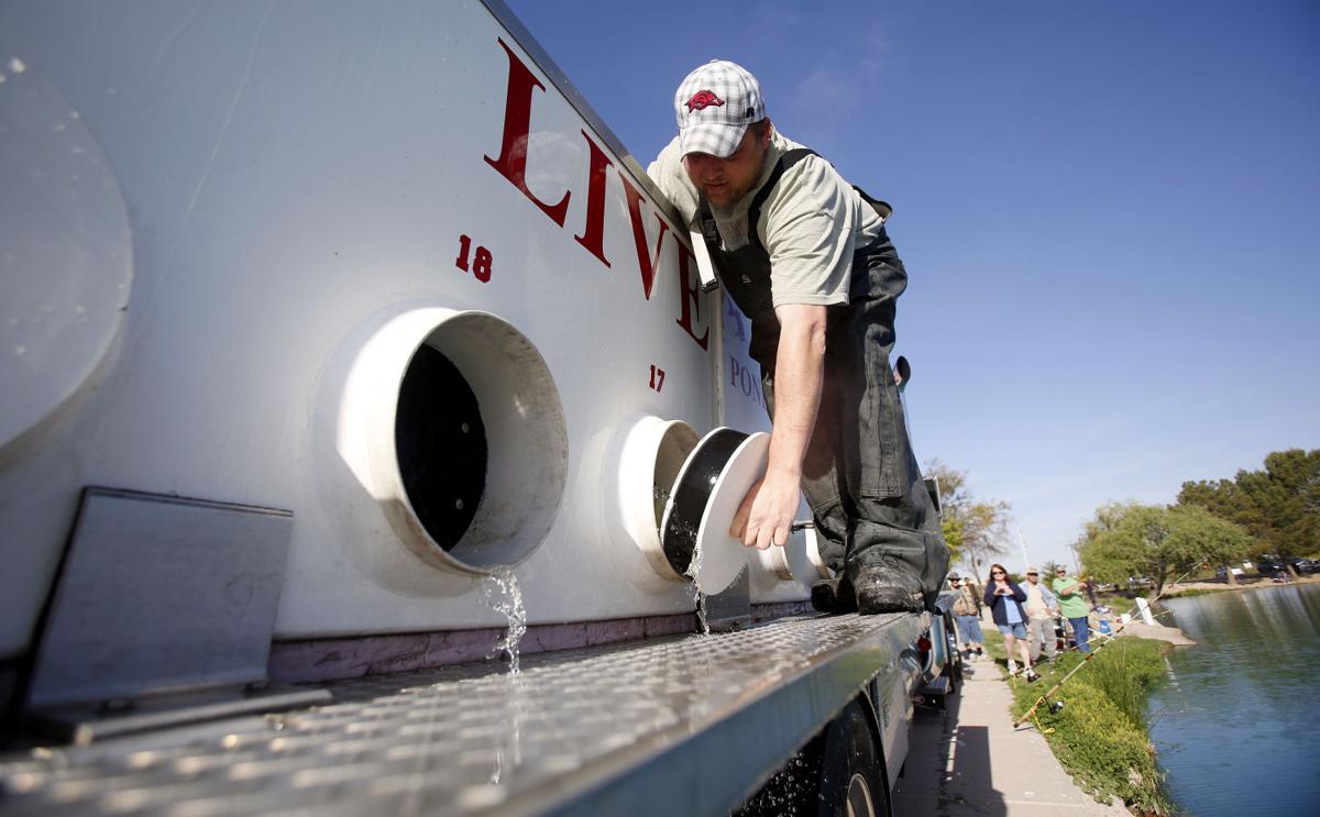 Photos Catfish restocking