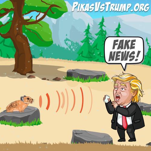 Pikas Vs. Trump
