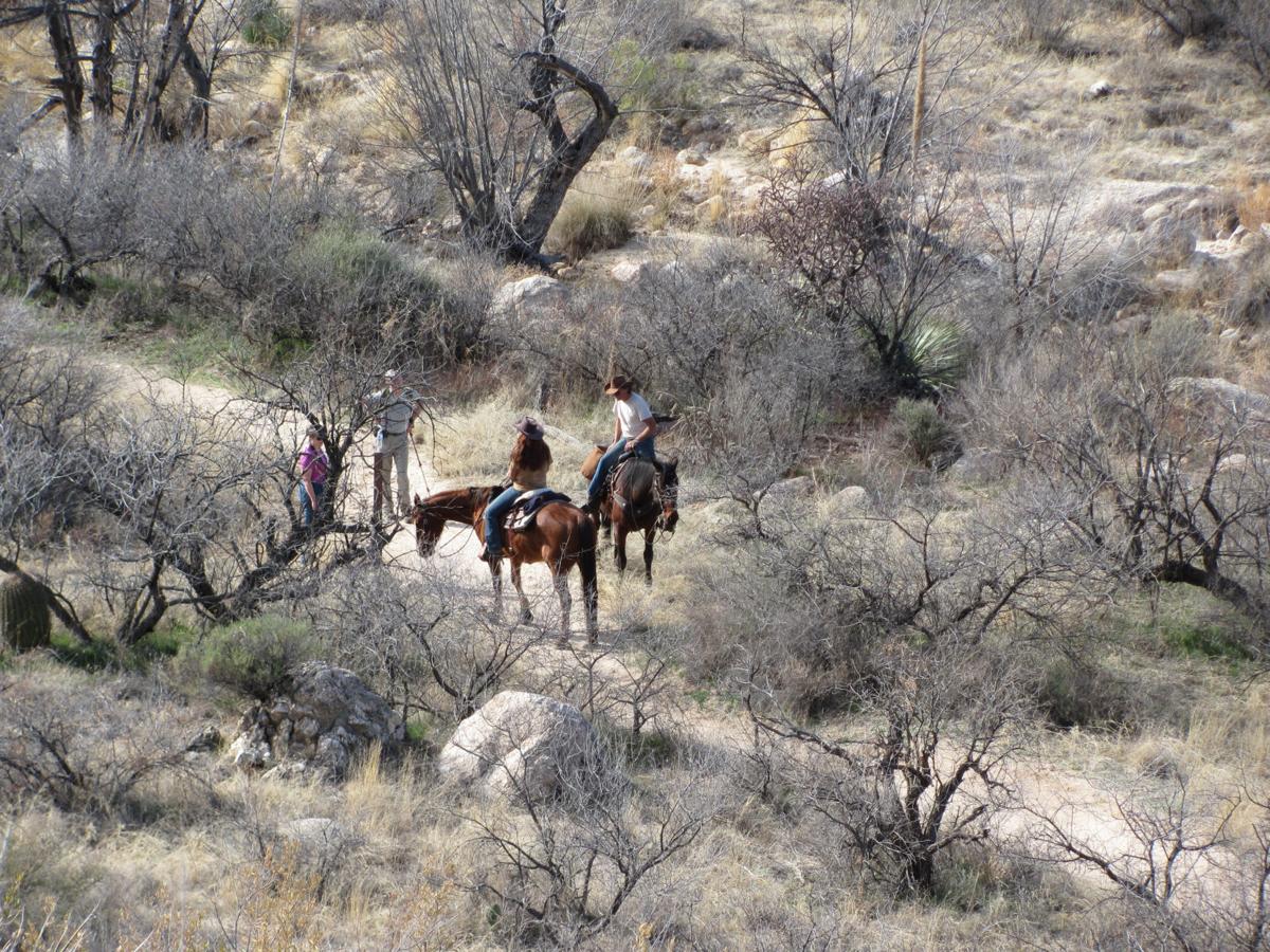 Catalina State Park