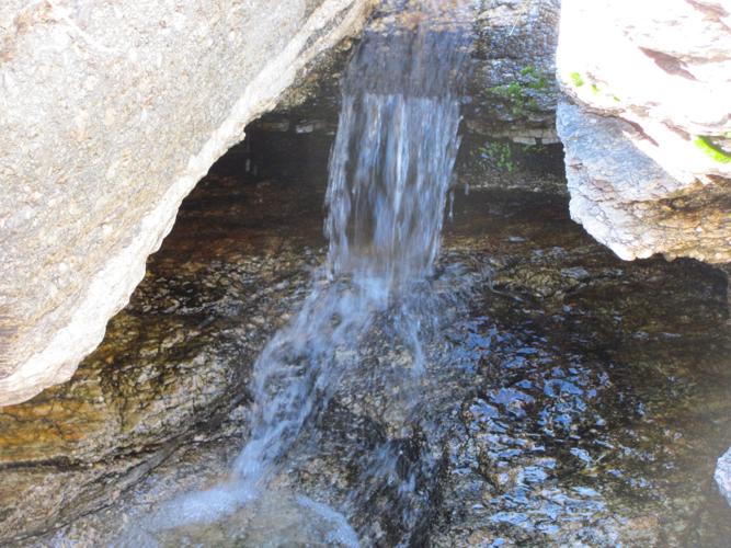 Trails on the eastern slopes of the Santa Catalina Mountains