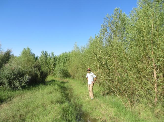 Colorado River Delta