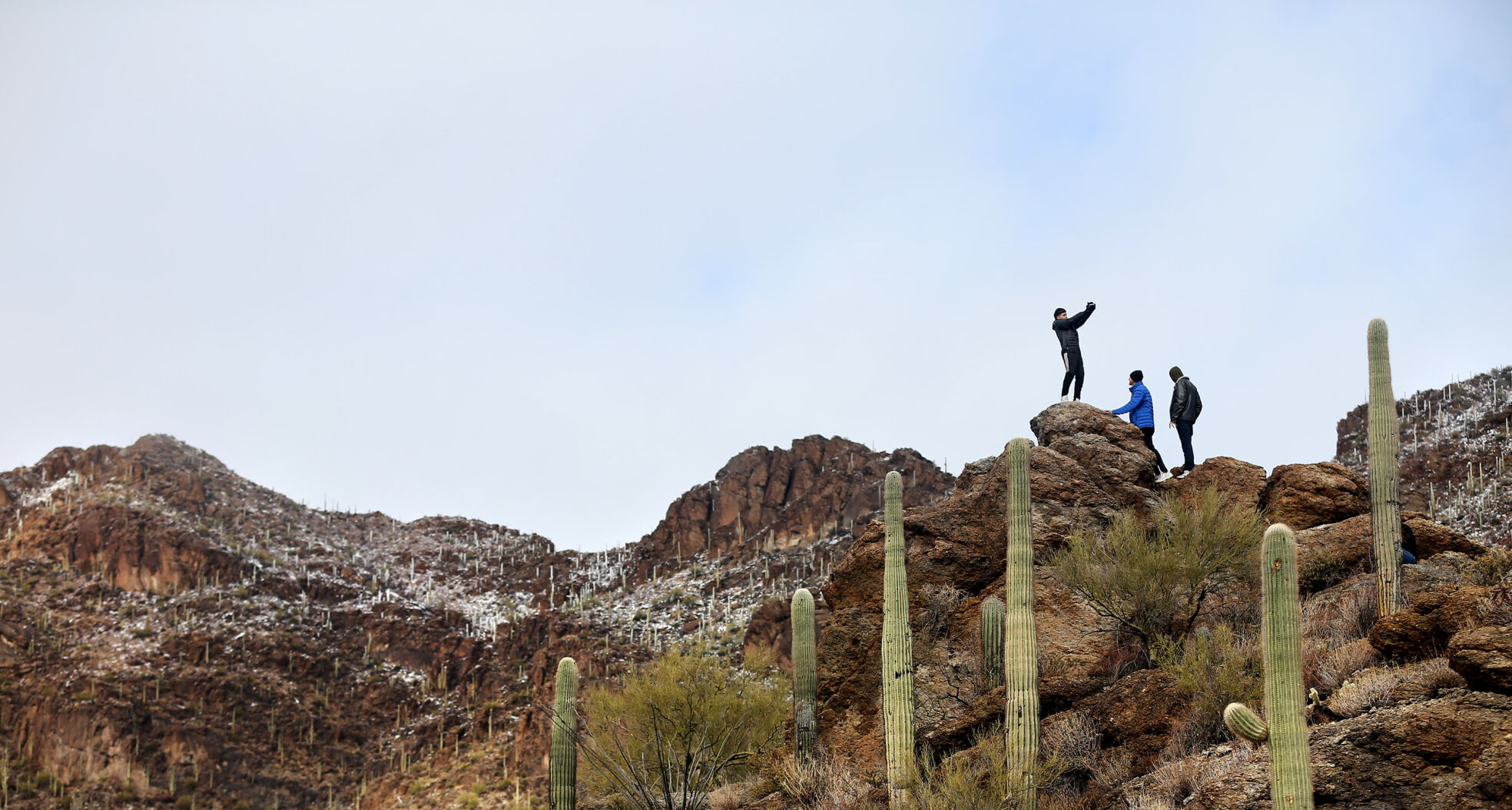 Tucson Mountain Park