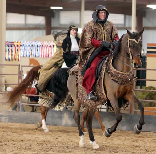 Arabians, riders compete in show of style, skill, beauty    