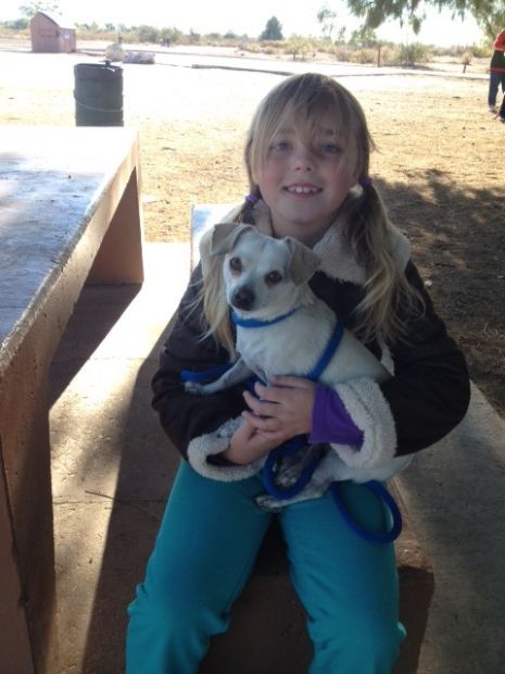 Shelter dog Jerald and a friend at the Thanksgiving Day walk and cuddle event