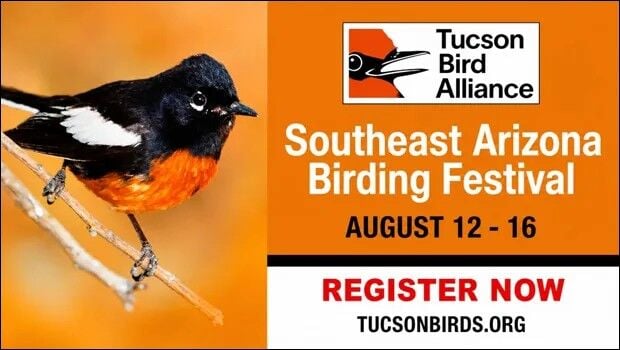 Birding festival ad