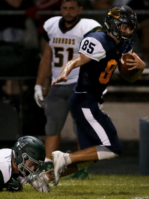 Flowing Wells vs Canyon del Oro