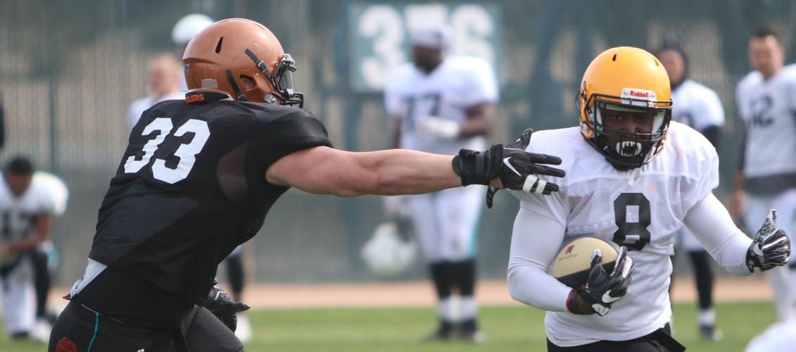 021419-spt-SUGAR SKULLS-p1.jpg