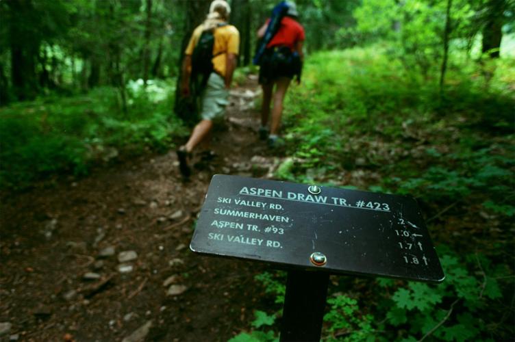Marshall Gulch Trail