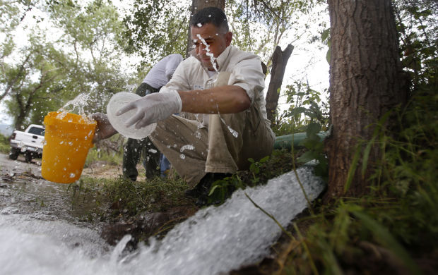 Toxic contamination of Rio Sonora