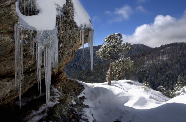 Mt. Lemmon: A busy mountain