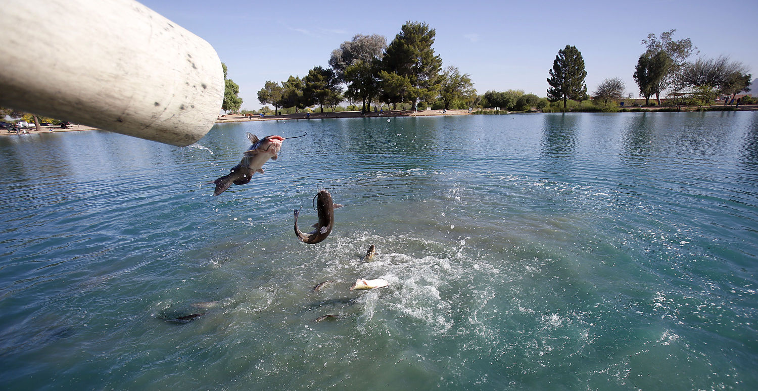 Arizona Game and Fish Department