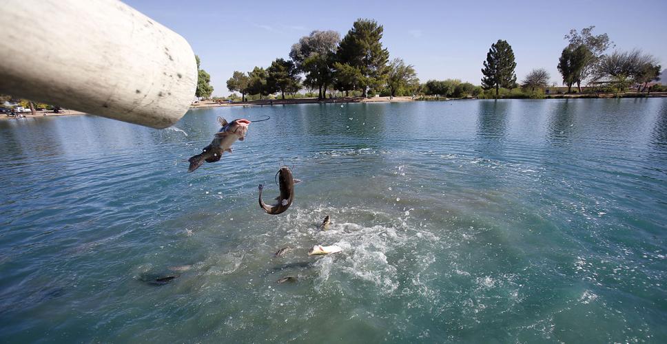Arizona Game and Fish Department