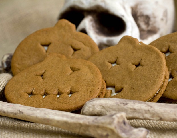Cookie sandwiches offer taste of autumn   