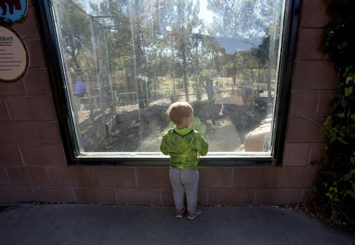 The grizzlies filled the void left behind by the polar bears