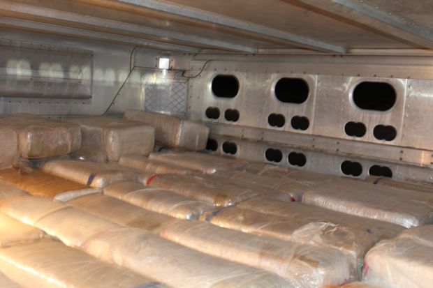 Trailer pot bust