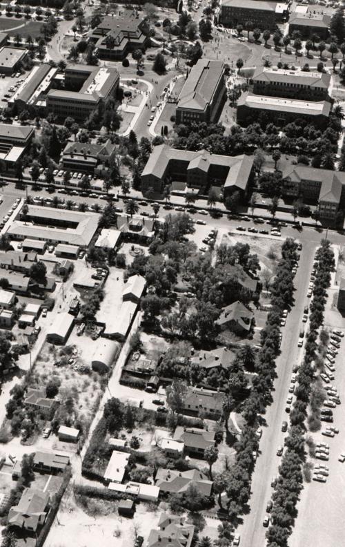 Street Smarts: Olive Road