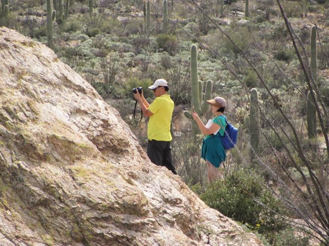 Visitors taking photos