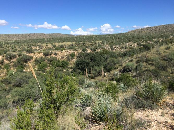 Catalina State Park: Endless views