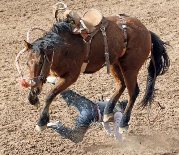 La Fiesta De Los Vaqueros