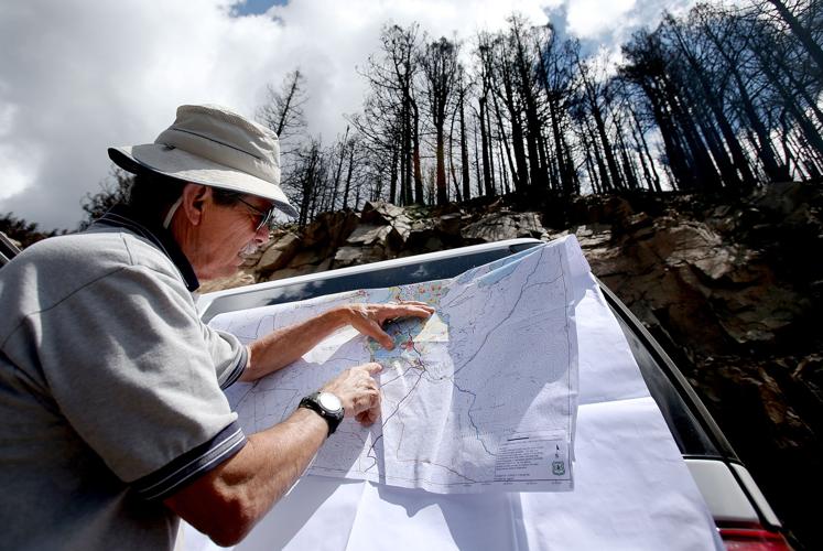 Frye Fire recovery on Mt. Graham