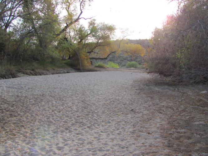 Sabino Lake bone dry