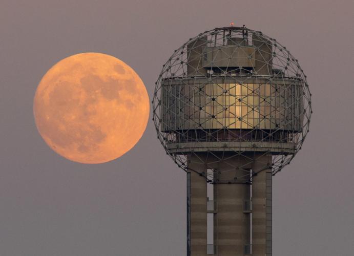Supermoon Dallas