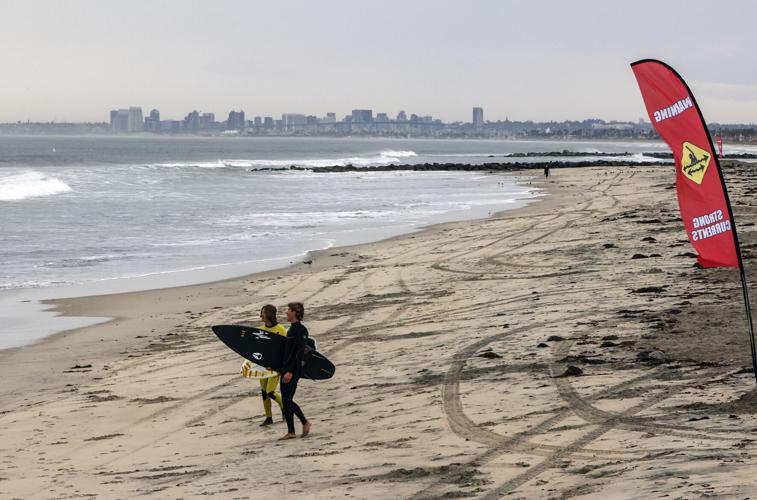 Contaminated Beaches