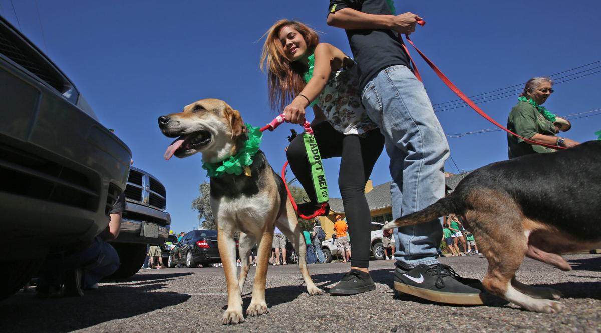 St Patrick's Day parade and festival