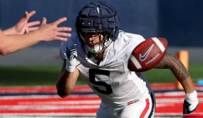 Arizona spring ball-p10.jpg