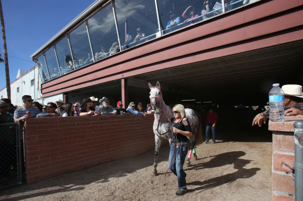 Horse racing at Rillito Race Track