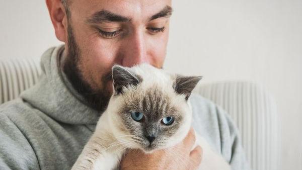 Can your cat give you COVID? Plus, FDA approves severe alopecia pill, and more health news
