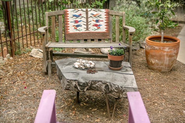 Carol Roberge's eco-therapy garden