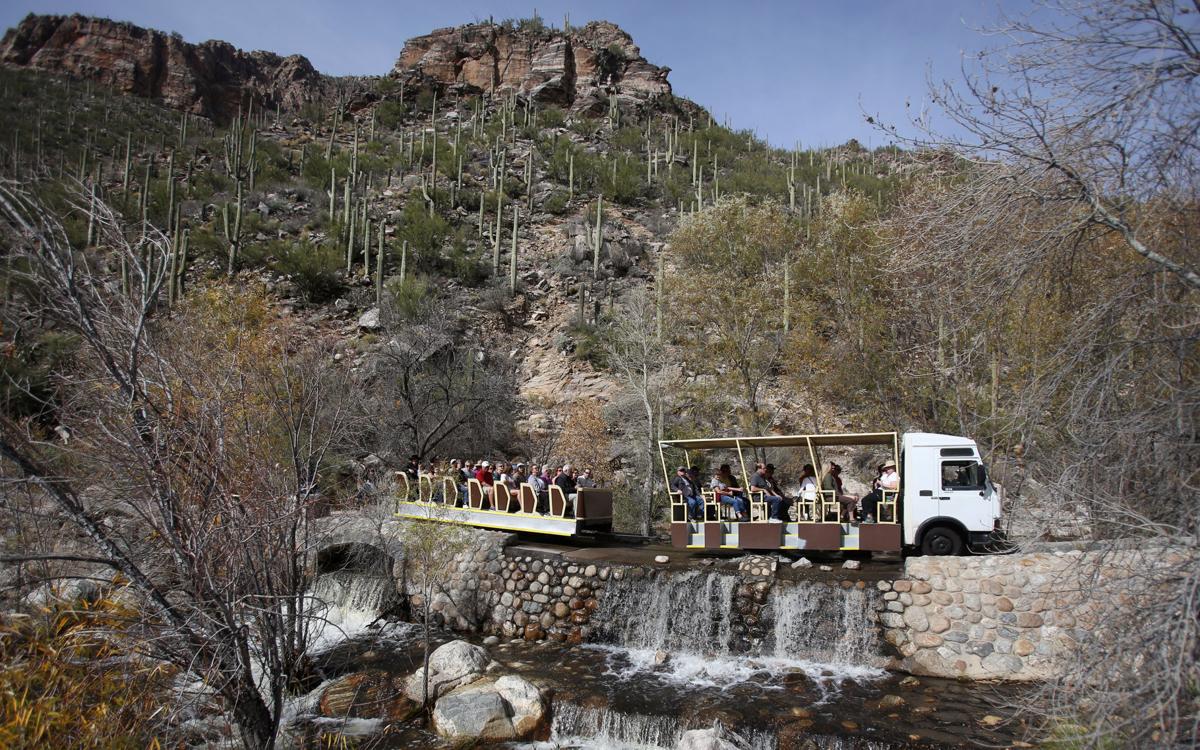 Sabino Canyon