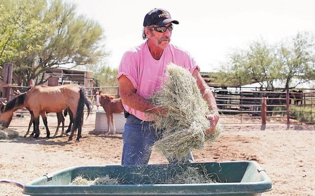 With HEART, horses get a new start  
