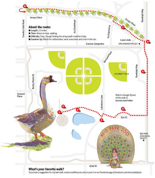 Reid Park map