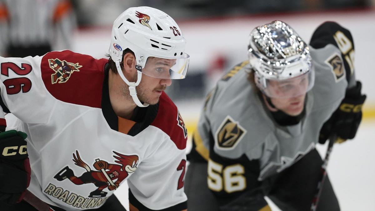 November 15 Photo of the Game.jpg