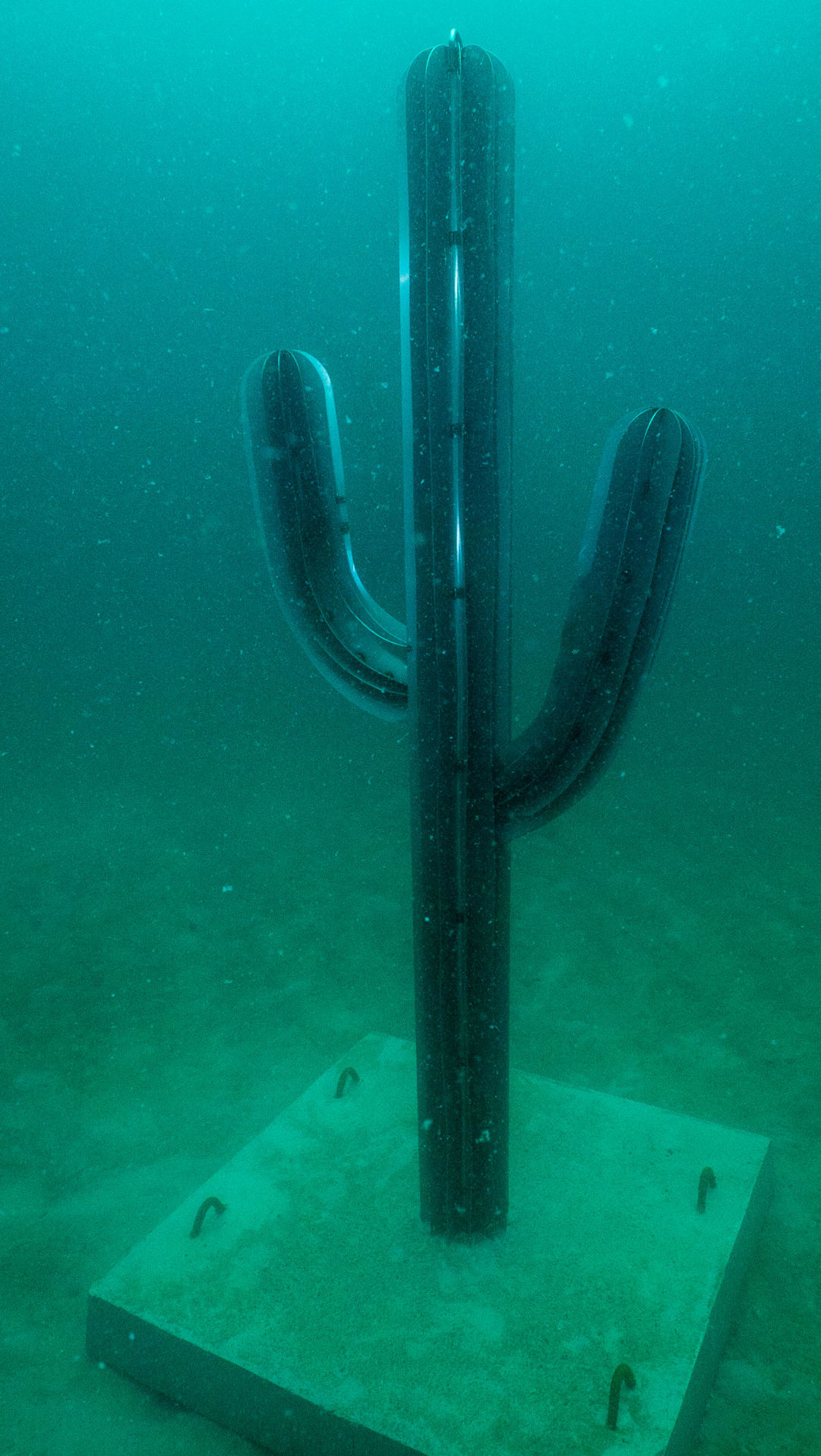 Steel saguaro sculpture, made in Tucson, now lives under the sea