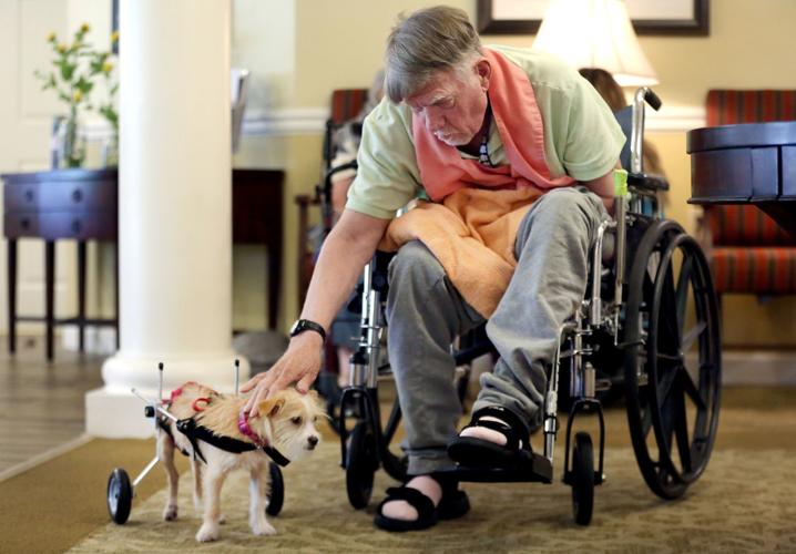 Rescue dog delights seniors