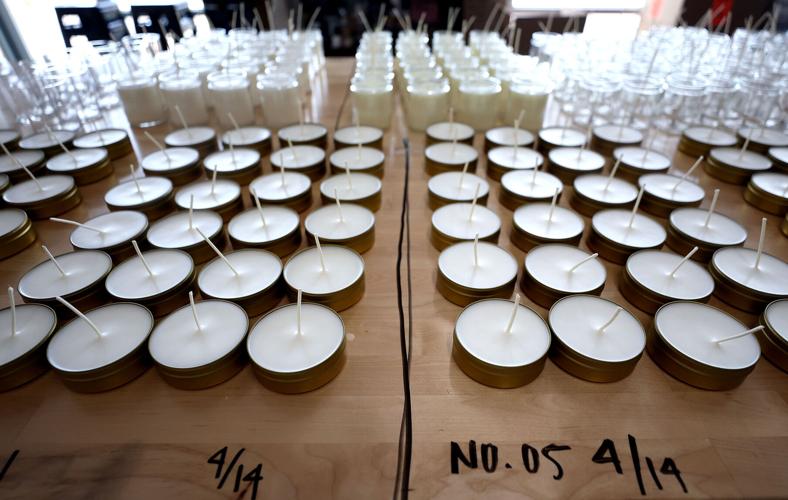 Cicada Candles
