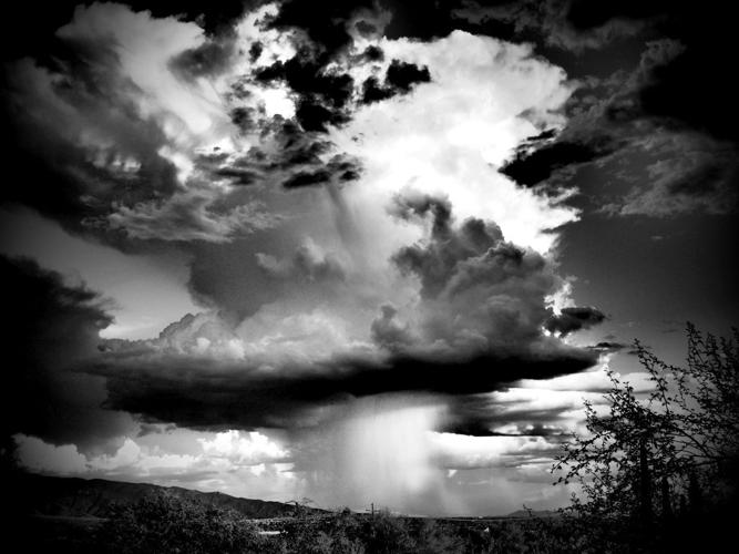 2015 Adventures in Nature photo contest