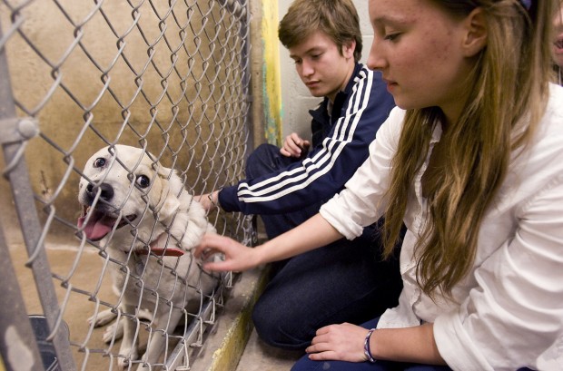 Encounter with javelina puts Patch in the slammer   