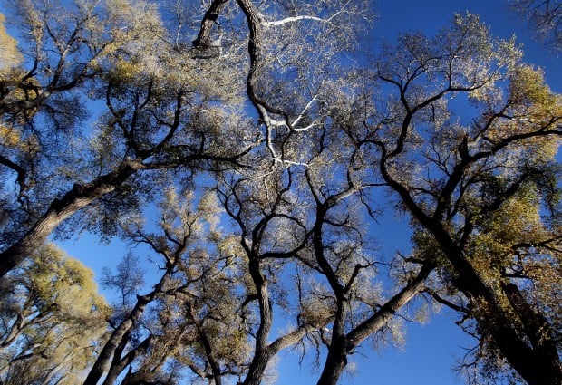 Southeast Arizona Loop Trip
